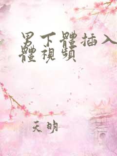 男下体插入女下体视频
