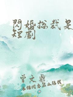 闪婚总裁是前夫短剧