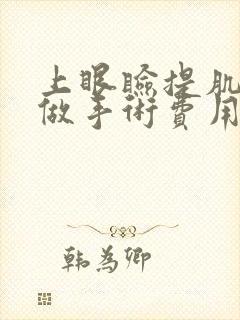 上眼睑提肌无力做手术费用?
