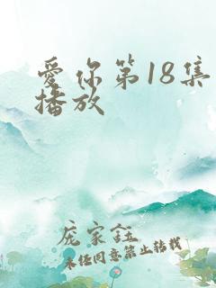爱你第18集全播放