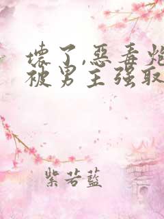坏了,恶毒炮灰被男主强取豪夺了
