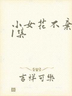 小女花不弃第11集