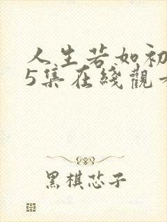 人生若如初见35集在线观看