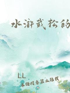 水浒武松的绰号