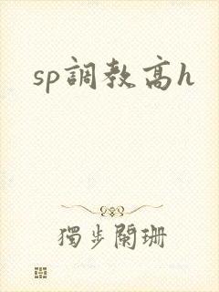 sp调教高h