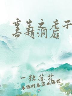 重生之老子是皇帝赵洞庭