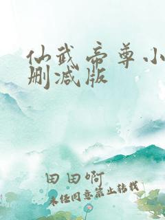 仙武帝尊小说无删减版