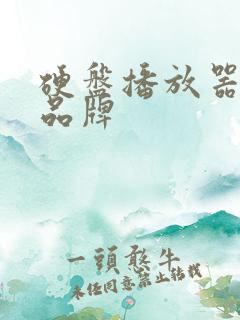 硬盘播放器十大品牌