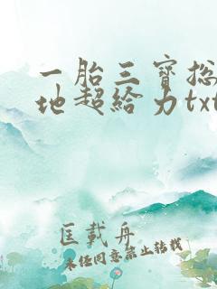 一胎三宝总裁爹地超给力txt