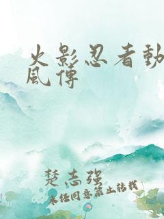 火影忍者动画疾风传