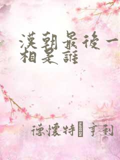 汉朝最后一个丞相是谁