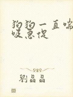 狗狗一直喘气呼吸急促