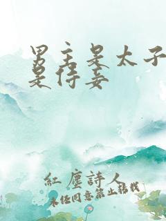 男主是太子女主是侍妾