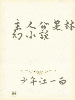 主人公是林天玄幻小说