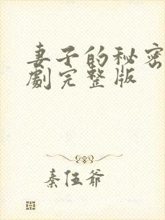 妻子的秘密电视剧完整版