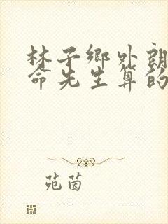 林子乡外朗村算命先生算的准吗