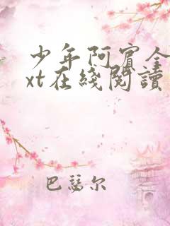 少年阿宾全文txt在线阅读