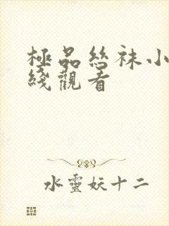 极品丝袜小说在线观看