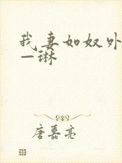 我妻如奴外传——琳 我妻如奴外传——琳