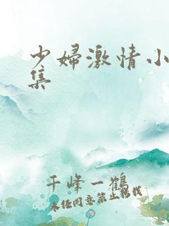 少妇激情小说合集
