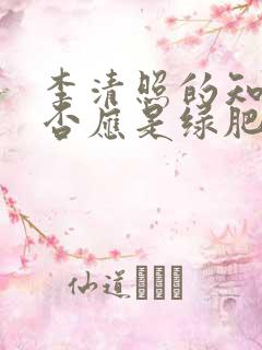 李清照的知否知否应是绿肥红瘦是什么意思