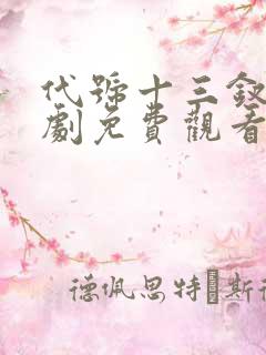 代号十三钗电视剧免费观看完整版