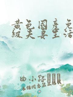 黄色国产免费一级夫妻生活片