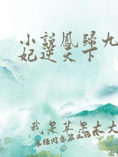 小说凤归九霄狂妃逆天下