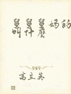 舅舅舅妈的孩子叫什么