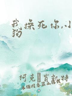 我操死你,小母狗