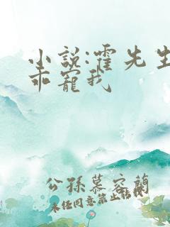 小说:霍先生乖乖宠我