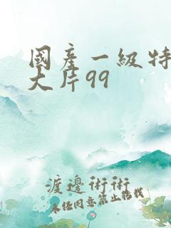 国产一级特黄a大片99