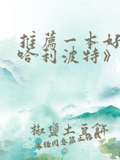 推荐一本好书《哈利波特》作文500字