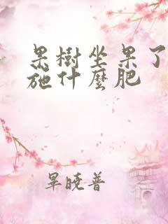果树坐果了需要施什么肥