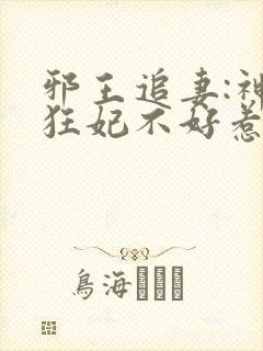 邪王追妻:神医狂妃不好惹
