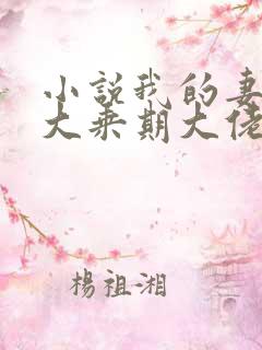 小说我的妻子是大乘期大佬全本阅读