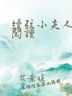 续弦小夫人在线阅读