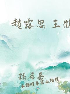 赵露思 王鹤棣
