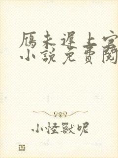 雁未迟上官穿越小说免费阅读
