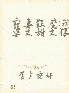 宠妻狂魔:我老婆又甜又狠