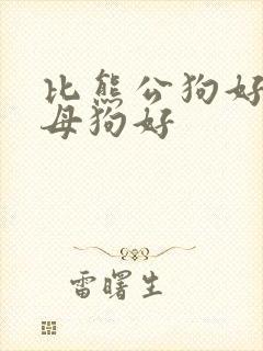 比熊公狗好还是母狗好