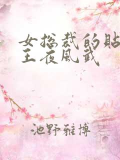 女总裁的贴身兵王夜风武
