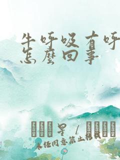 牛呼吸有呼噜声怎么回事