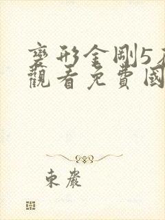 变形金刚5在线观看免费国语版