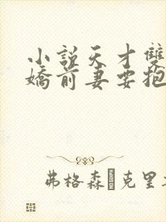 小说天才双宝傲娇前妻要抱回家