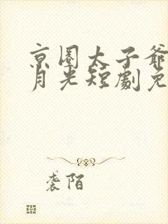 京圈太子爷的白月光短剧免费观看