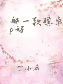 哪一款购车app好