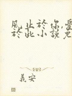 风止于你,爱止于此小说免费阅读