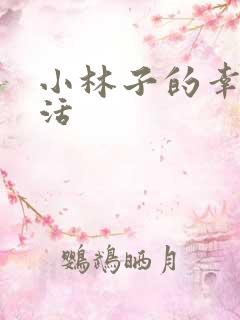 小林子的幸福生活