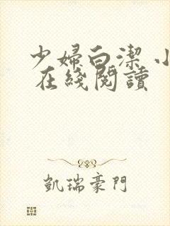 少妇白洁 小说 在线阅读